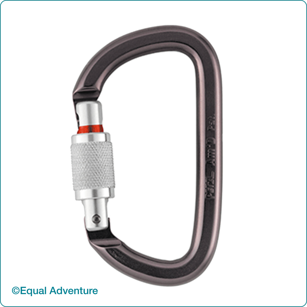 Image of D Shape Screw Gate Carabiner